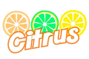 Citrusロゴ