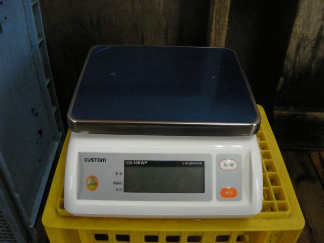 DSCN0351.jpg