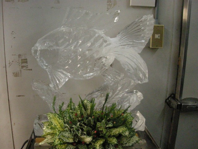 金魚