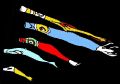 kodomo-opt.gif