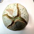 melon-2.jpg