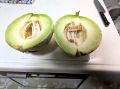melon-3.jpg