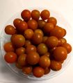 tomato_2026-07-28-17-54-49.jpg