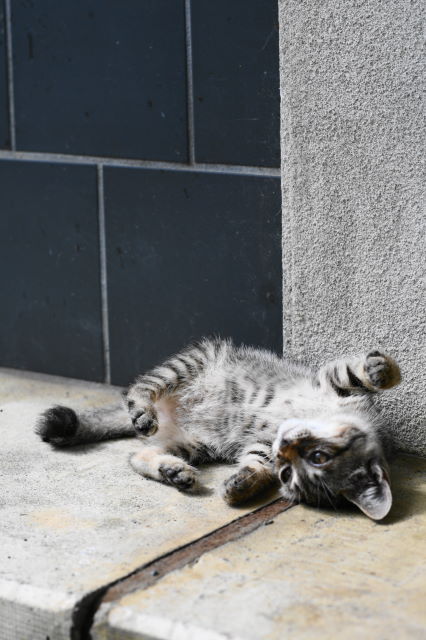 20120716-163647.jpg