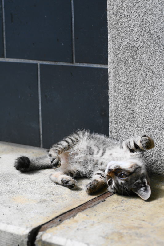 20120716-163904.jpg