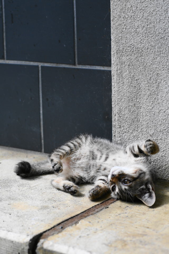 20120716-164744.jpg