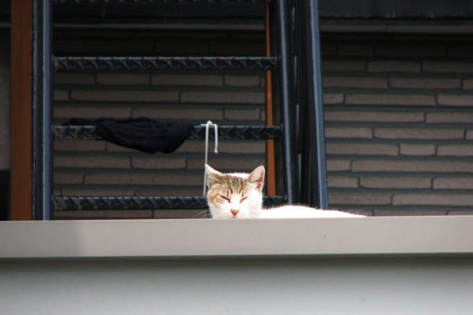 20110610-110414.jpg