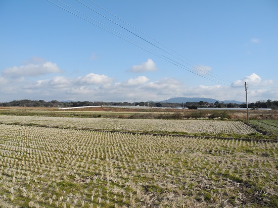 hatake01513.jpg