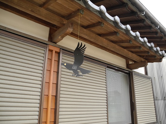 karasu015115.jpg