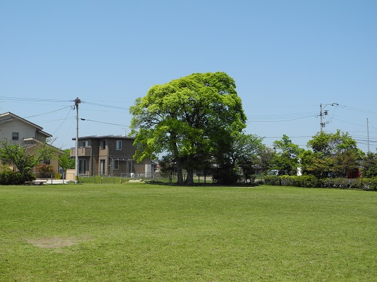 kouen015424.jpg