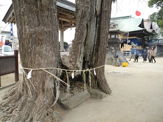 shioji015213.jpg