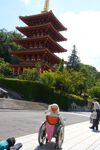 五重塔全体