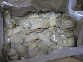 20110120-115439.jpg