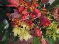 20110404-220858.jpg