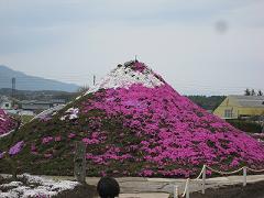 20110501-231153.jpg