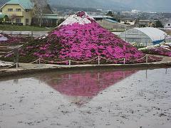 20110501-231208.jpg