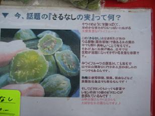 20110507-164520.jpg