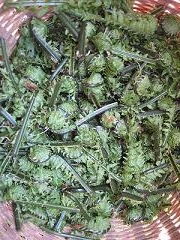 20110517-142045.jpg