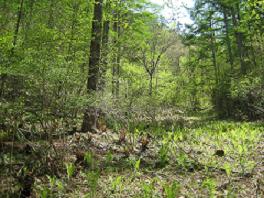 20110517-144036.jpg