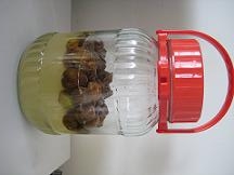 20110620-210903.jpg