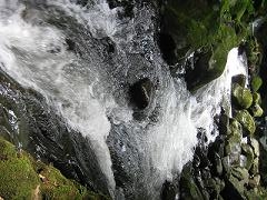 20110705-212233.jpg