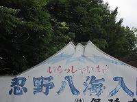 20110723-141255.jpg