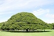 20111011-221021.jpg