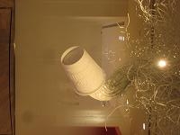 20111023-232255.jpg