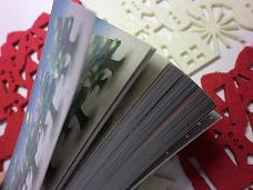 20111120-211614.jpg