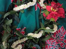 20111220-141158.jpg