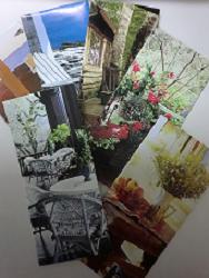 20111220-141425.jpg