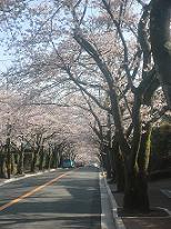 20120409-210217.jpg