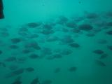 20120806-203716.jpg
