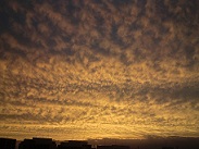 20120927-220326.jpg