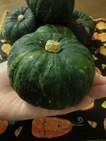 20121024-215824.jpg