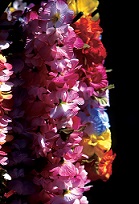 20130322-213337.jpg