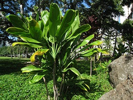 20130614-155612.jpg