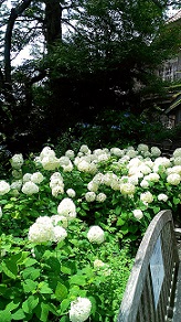 20130627-231536.jpg
