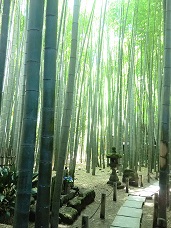 20130701-234213.jpg