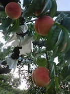 20130816-180451.jpg