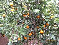IMG_2556.jpg