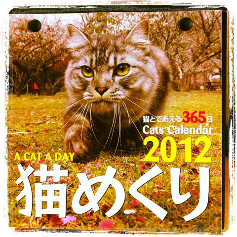 猫めくり