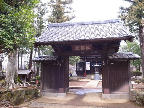 02豪徳寺1