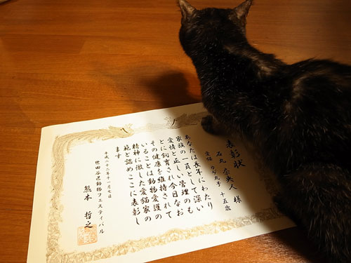 カゲ25