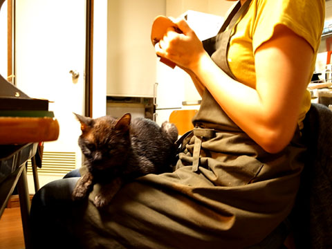 カゲ鎮座201105