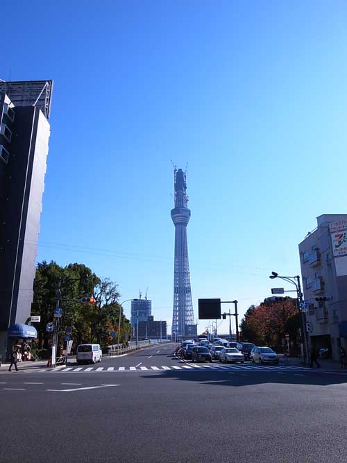 スカイツリ5