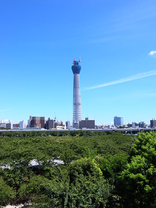 すかい1
