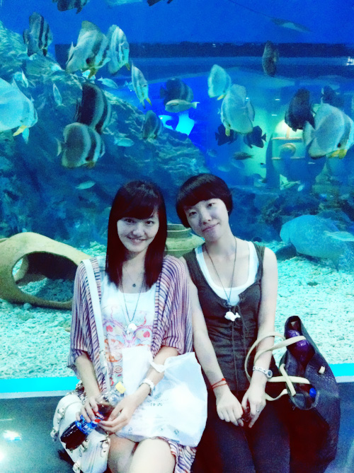 20120927-120628.jpg