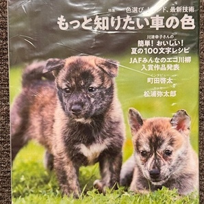 甲斐犬