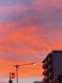 酷暑の夕焼け